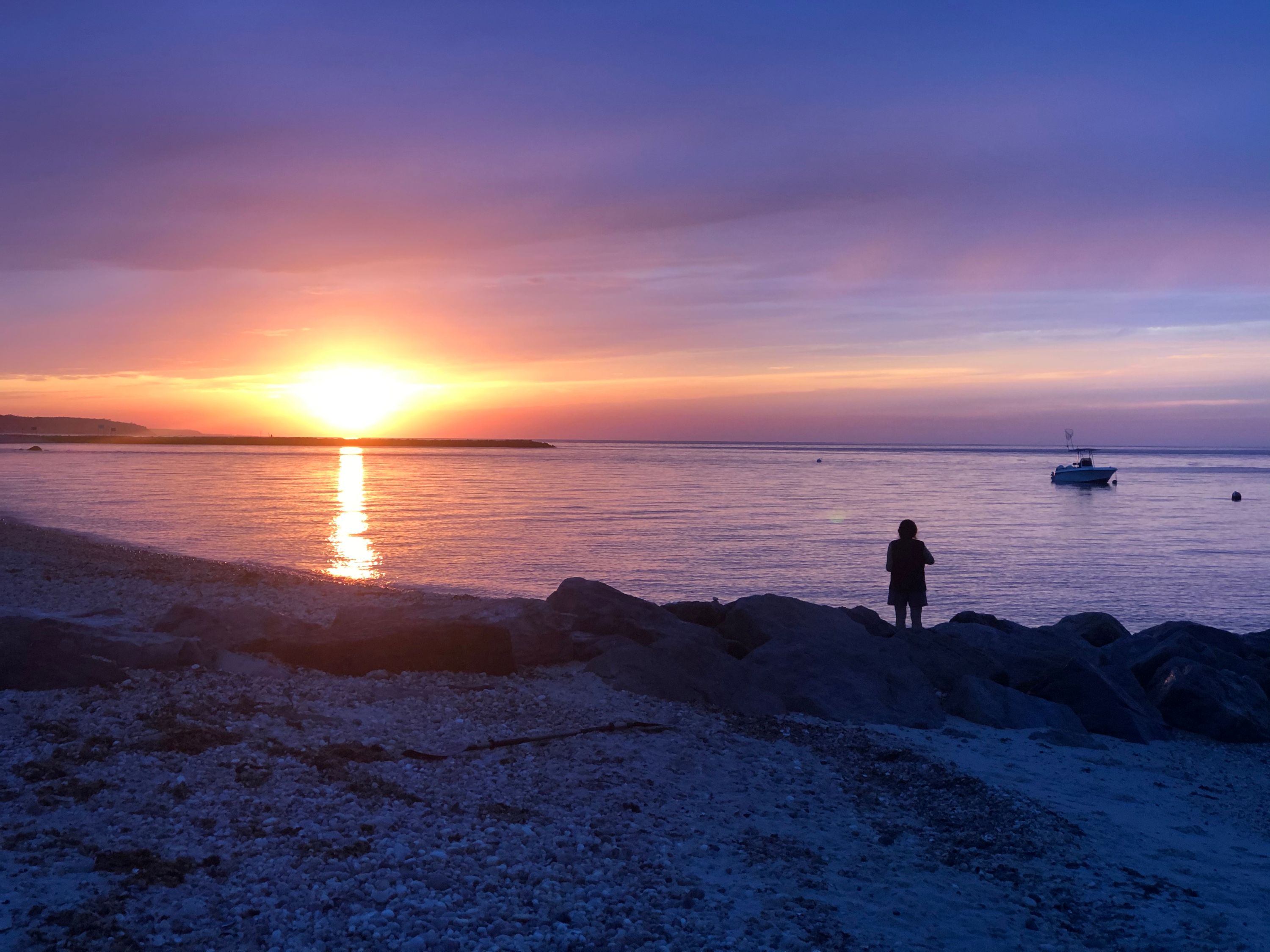 Ronkonkoma Shutterstock 1816834922